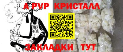 стафф Моздок