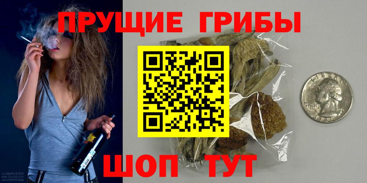 Псилоцибиновые грибы MAGIC MUSHROOMS  Галлюциногенные грибы Magic Shrooms  Рассказово  Вход с VPN 