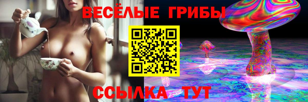 Псилоцибиновые грибы Magic Shrooms Рассказово